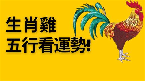 屬雞五行缺什麼|生肖雞的五行？不同屬性的屬雞人的性格有什麼不同？